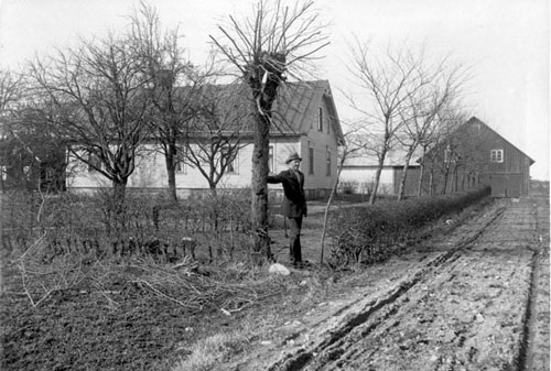 Nanneg�rden omkring 1925